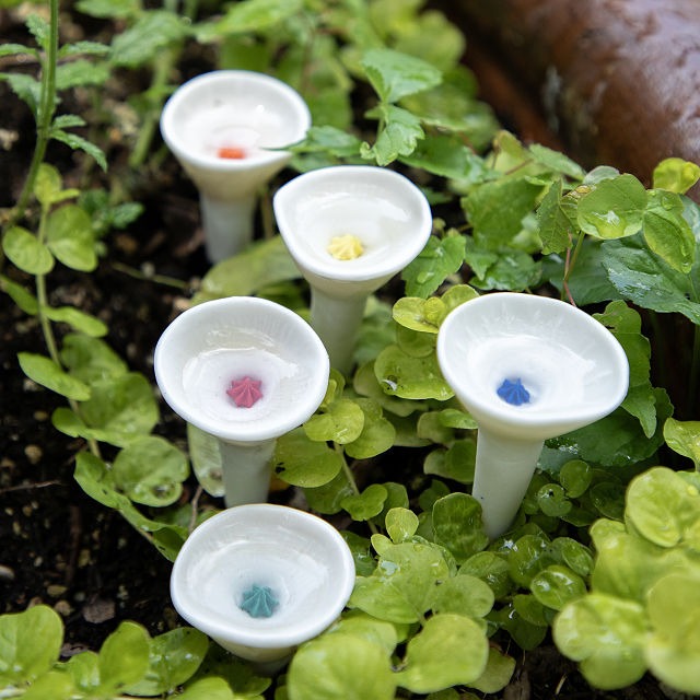 Ceramic Bee Drinking Cup - Set of 5