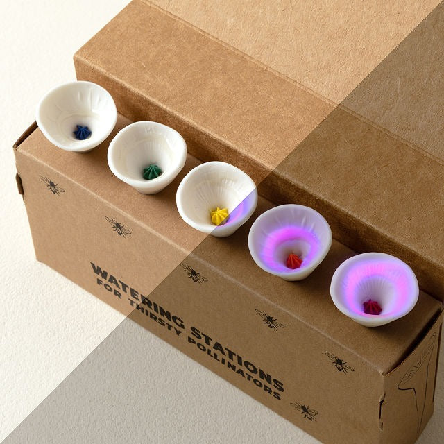 Ceramic Bee Drinking Cup - Set of 5