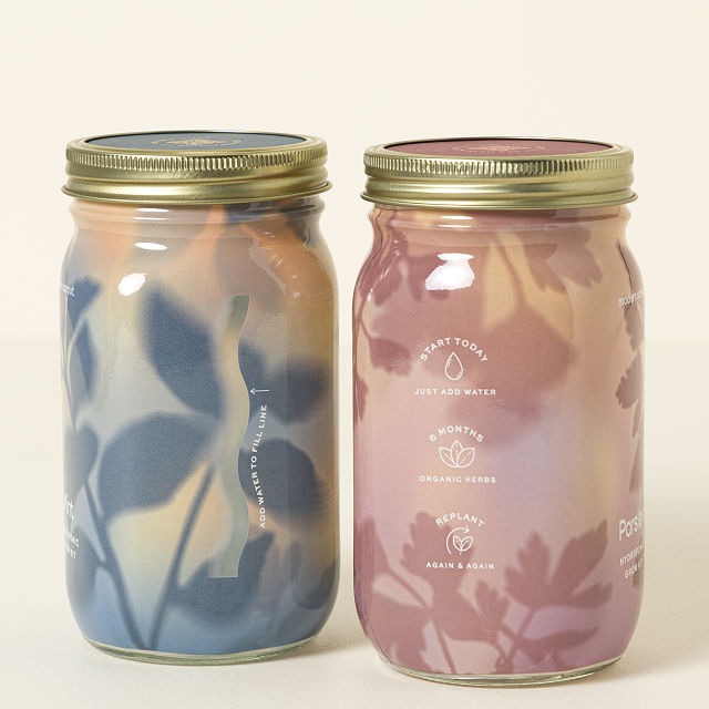 Mason Jar Indoor Herb Garden