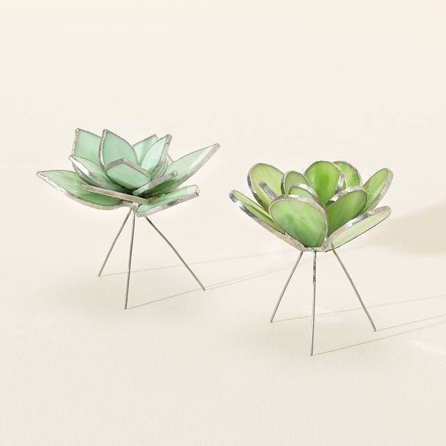 Everlasting Stained Glass Succulents