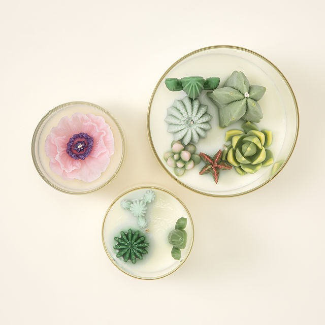 Terrarium Candle